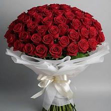Букет 101 Красная роза Блэк Мэджик в Шишкино