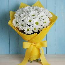 Букет цветов из:  Хризантемы в Шишкино