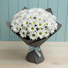 Букет цветов из:  Хризантемы #REPLACE_PRED# Шишкино