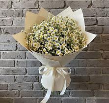 Букет цветов из:  Ромашки в Шишкино