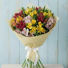 Букет цветов из:  Альстромерии в Шишкино